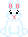 Rabbit Webkinz