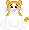 Gold and White Cat W